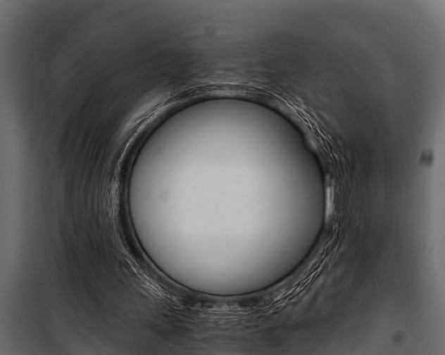 X0000100940243200806241209
