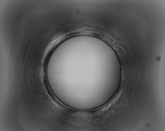 X0000100940245200806241209