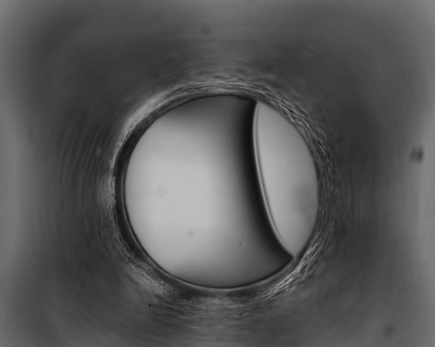 X0000100940246200806241209