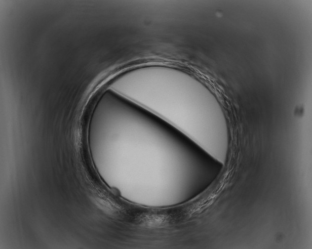 X0000100940247200806241209