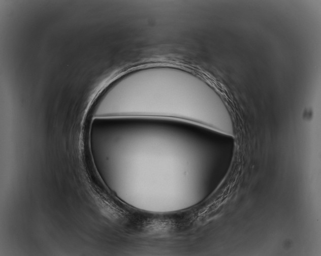 X0000100940248200806241209