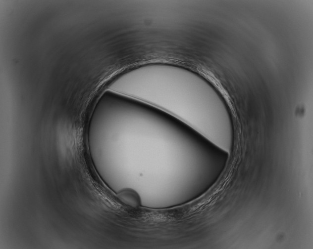 X0000100940249200806241209