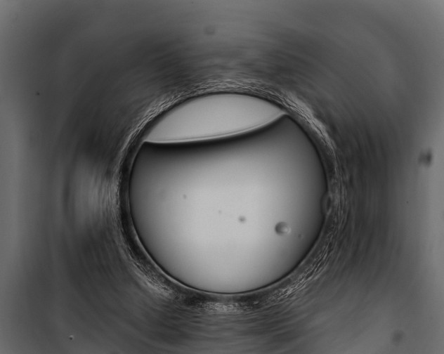X0000100940250200806241209