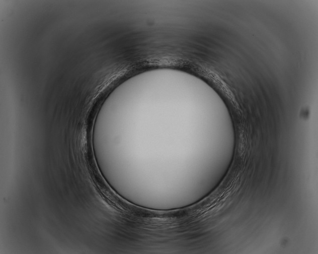 X0000100940251200806241209