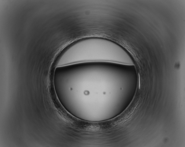 X0000100940252200806241209