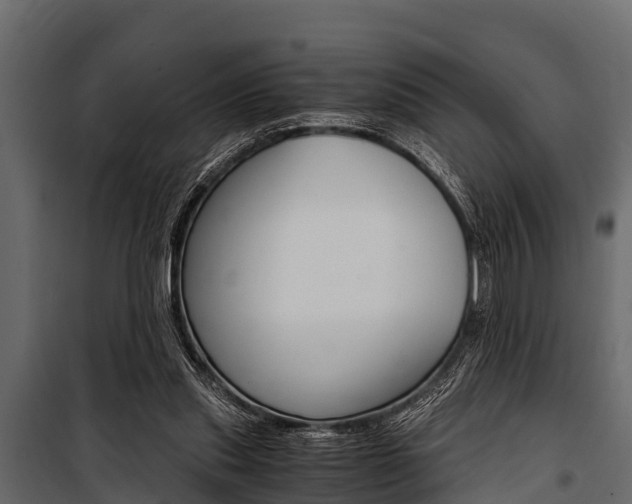 X0000100940253200806241209