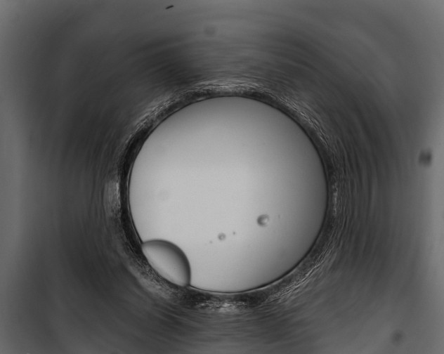 X0000100940254200806241209