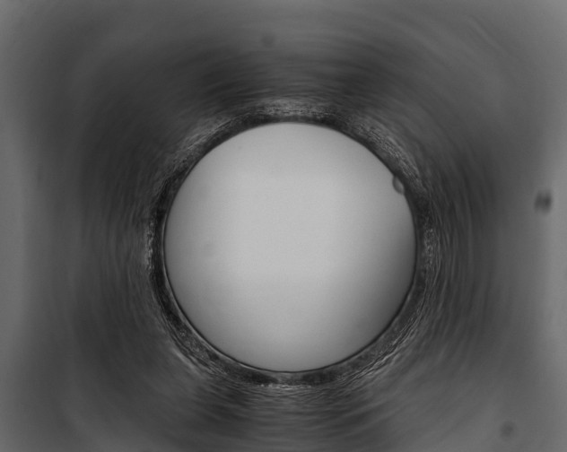 X0000100940255200806241209