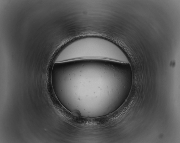 X0000100940256200806241209