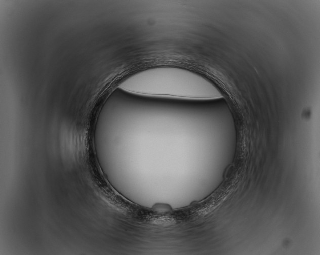 X0000100940258200806241209
