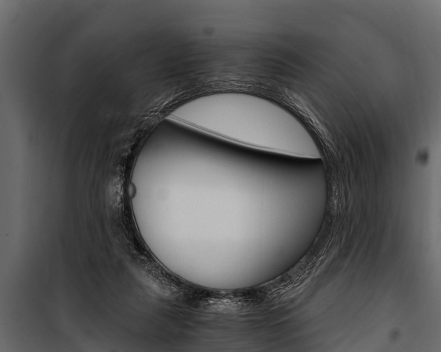 X0000100940259200806241209