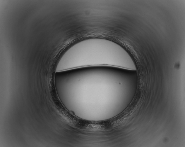 X0000100940260200806241209