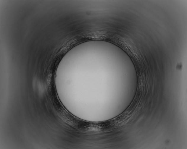 X0000100940263200806241209