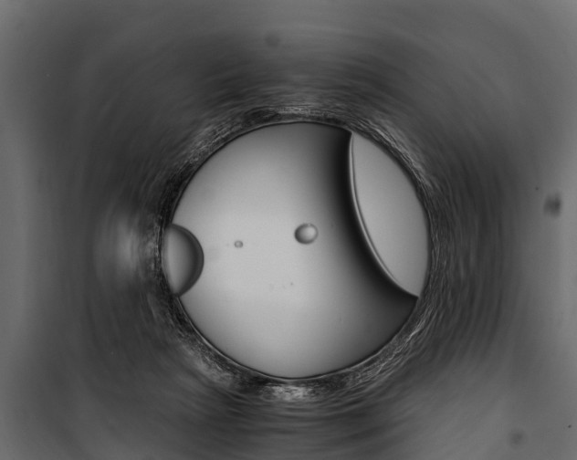 X0000100940265200806241209