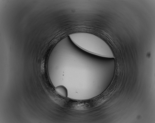 X0000100940267200806241209