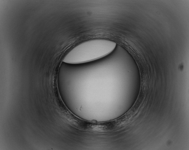 X0000100940268200806241210