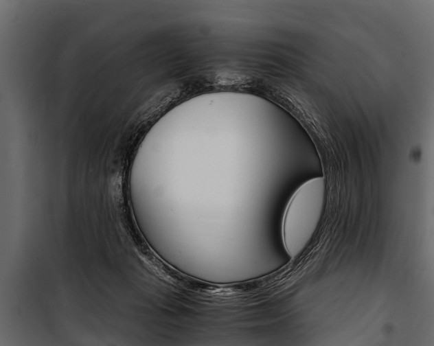 X0000100940269200806241210