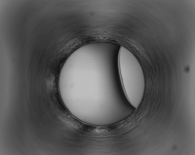X0000100940270200806241210