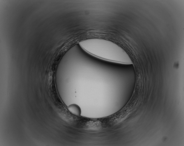 X0000100940271200806241210
