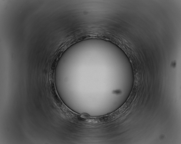 X0000100940272200806241210