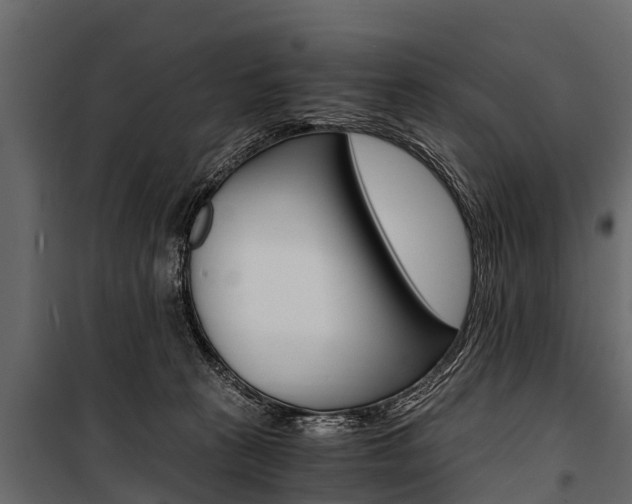 X0000100940273200806241210
