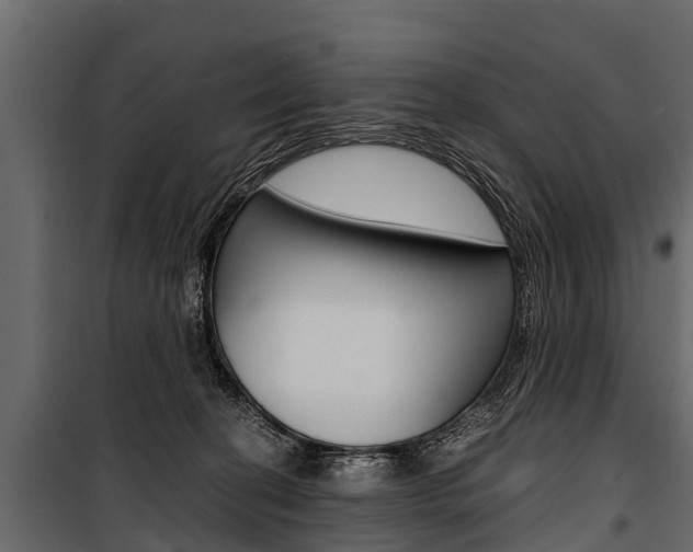X0000100940274200806241210