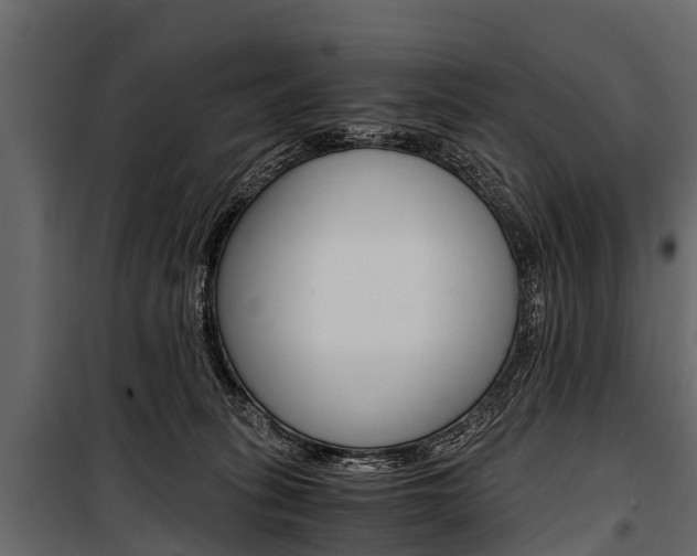 X0000100940275200806241210