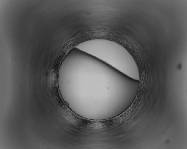 X0000100940276200806241210