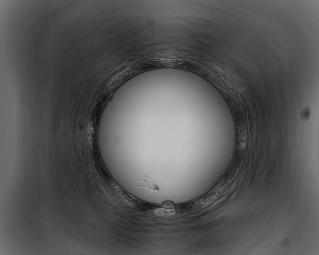 X0000100940279200806241210