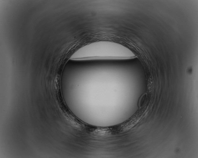 X0000100940280200806241210