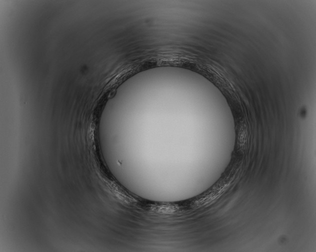 X0000100940282200806241210