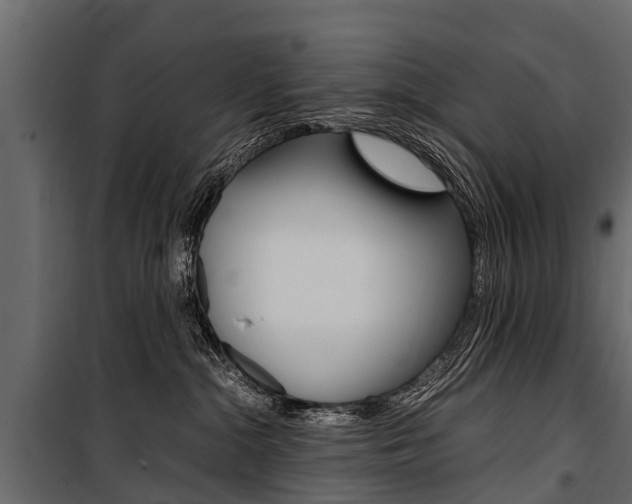X0000100940284200806241210
