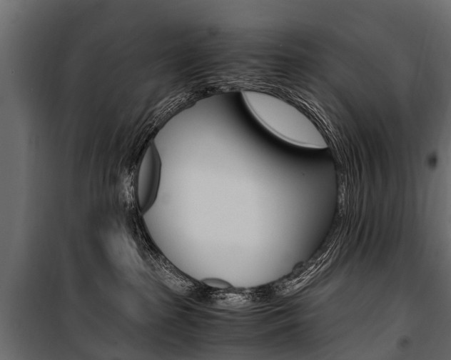 X0000100940285200806241210