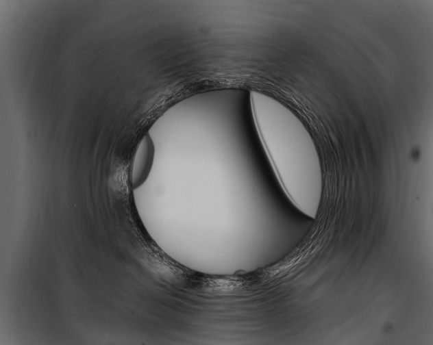 X0000100940286200806241210