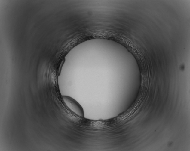 X0000100940287200806241210
