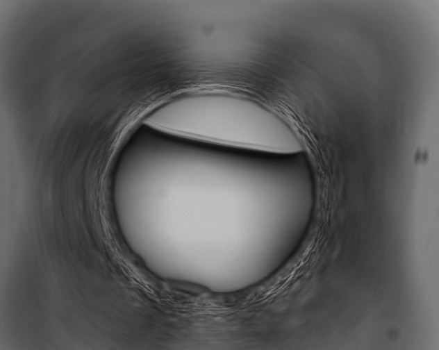 X0000100940289200806241209