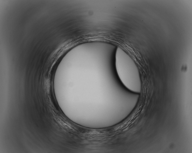 X0000100940290200806241209