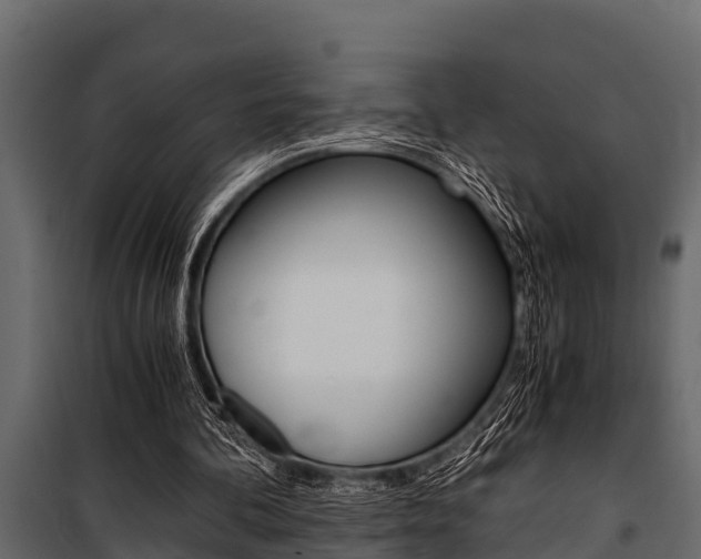 X0000100940292200806241209
