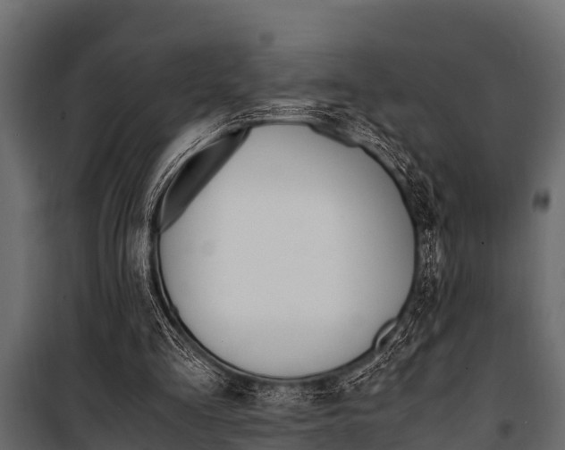 X0000100940293200806241209