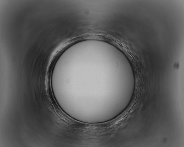 X0000100940294200806241209