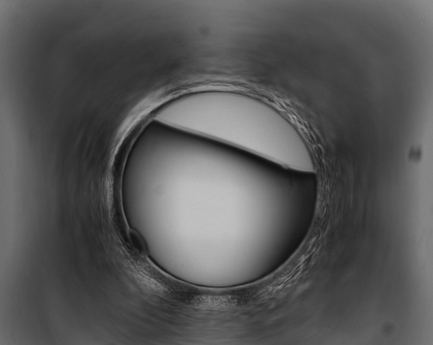 X0000100940296200806241209