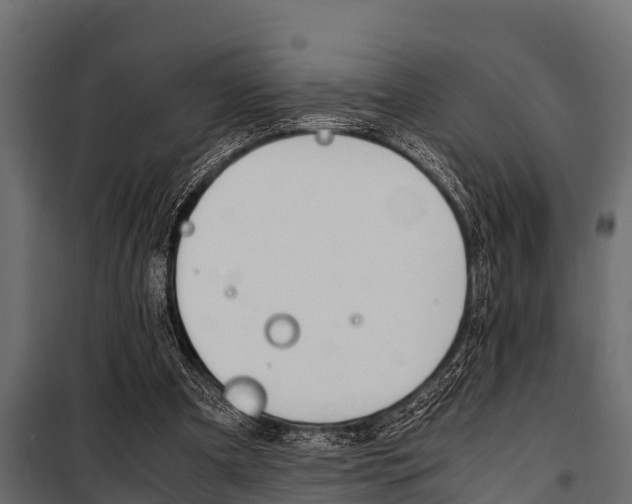X0000100940297200806241209