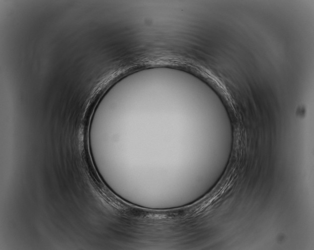 X0000100940298200806241209