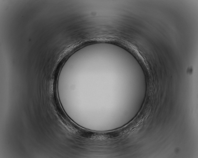 X0000100940299200806241209