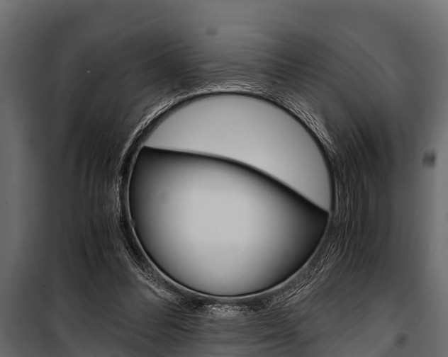 X0000100940300200806241209