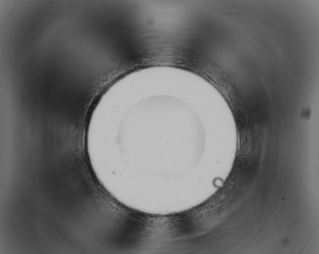 X0000100940301200806241209