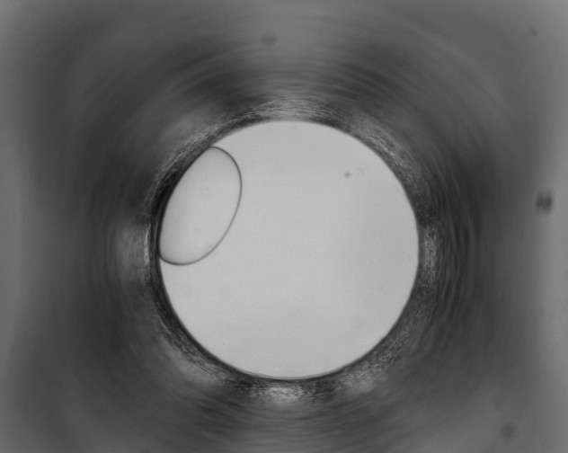 X0000100940302200806241209