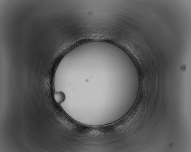 X0000100940303200806241209