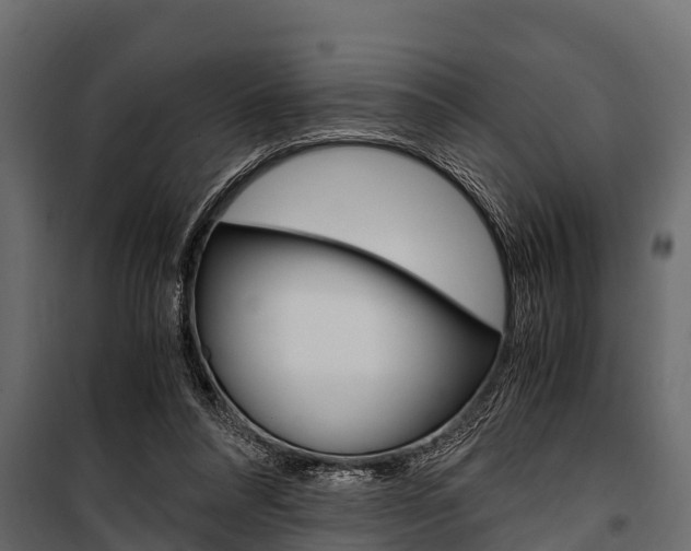 X0000100940304200806241209