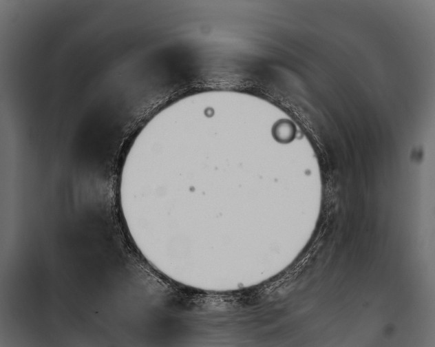 X0000100940305200806241209